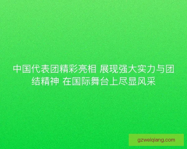 中国代表团精彩亮相 展现强大实力与团结精神 在国际舞台上尽显风采